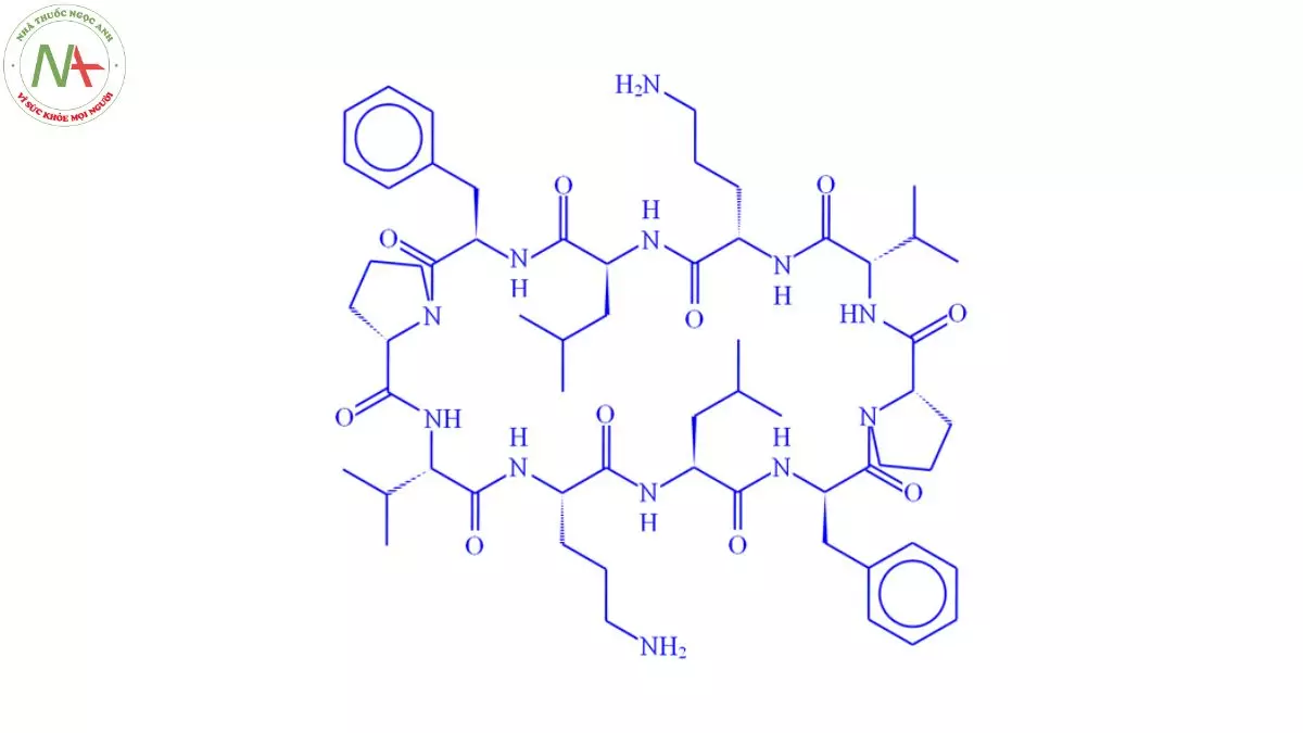 Cấu trúc phân tử Gramicidin 