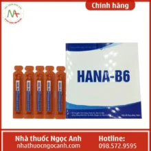 Hana-B6