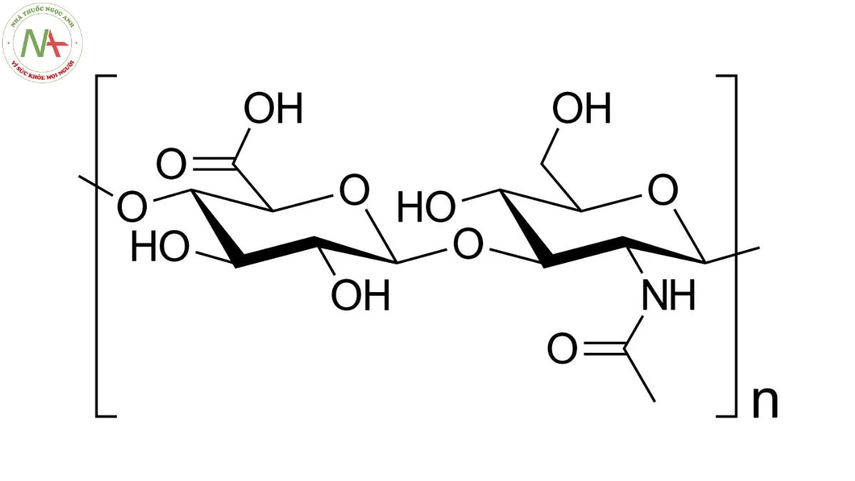 Cấu trúc phân tử Hyaluronic Acid