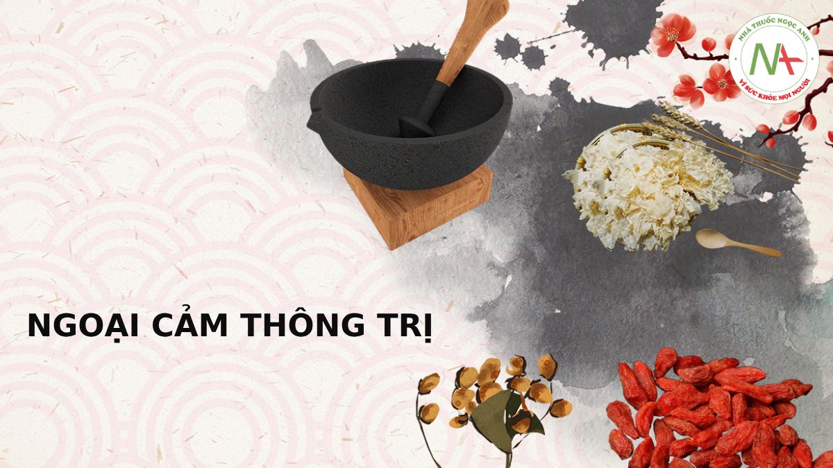 Ngoại cảm thông trị: triệu chứng và phương pháp trị liệu bệnh ngoại cảm