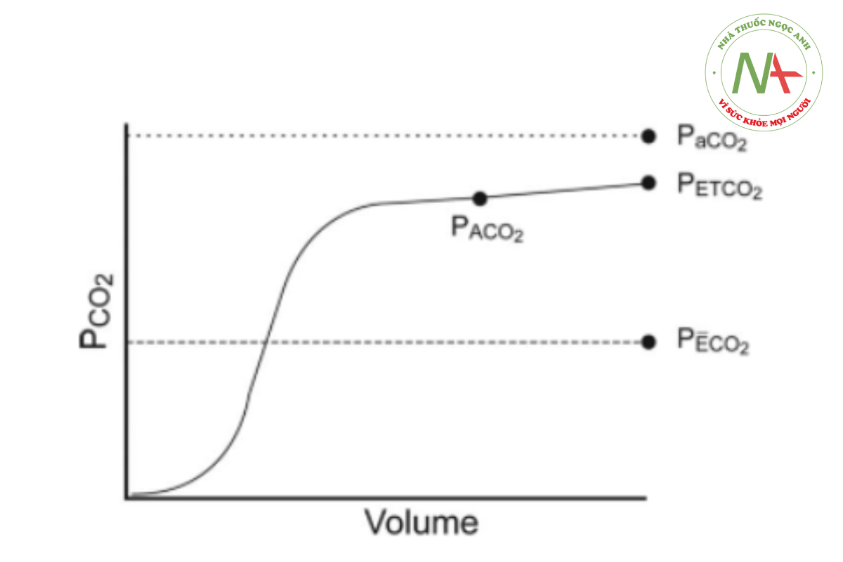 Hình 15. Biểu đồ thể tích thể tích cho thấy mối quan hệ giữa PaCO2, áp suất riêng phần của carbon dioxide phế nang hỗn hợp (PACO2), áp suất riêng phần của carbon dioxide cuối kỳ thở ra (PETCO2) và áp suất riêng phần của carbon dioxide thở ra trung bình ( CO2).
