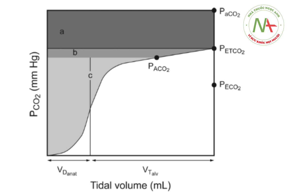 Hình 18. Các khu vực trên biểu đồ thể tích (màu xám) thể hiện sự đóng góp của khoảng chết phế nang vào tổng khoảng chết sinh lý sử dụng PaCO2 (diện tích a + b + c), áp suất riêng phần của carbon dioxide cuối triều (PETCO2) (diện tích b + c), hoặc áp suất riêng phần của carbon dioxide hỗn hợp trong phế nang (PACO2) (diện tích c) liên quan đến áp suất riêng phần của carbon dioxide trung bình thở ra ( CO2), thể tích khoảng chết giải phẫu (VDanat), và thể tích khí lưu thông phế nang (VTalv).