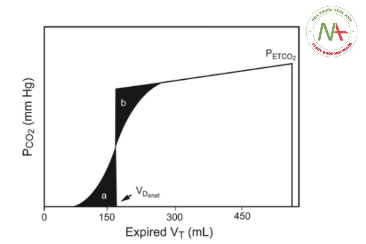 Hình 5. Phương pháp của Fowler để xác định khoảng chết giải phẫu (VDanat) liên quan đến độ dốc của pha III và CO2 cuối triều (PETCO2) trên biểu đồ thể tích, trong đó pha II được chia thành các khu vực a và b bằng nhau. Từ Tài liệu tham khảo 103 và 104.