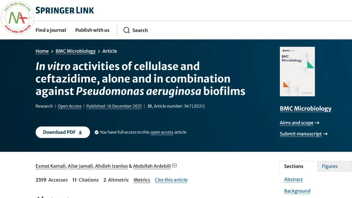 In vitro activities of cellulase and ceftazidime, alone and in combination against Pseudomonas aeruginosa biofilms