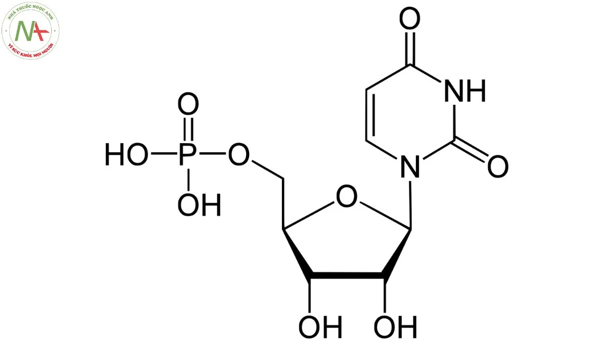 Cấu trúc phân tử Dinatri Uridin Monophosphat 