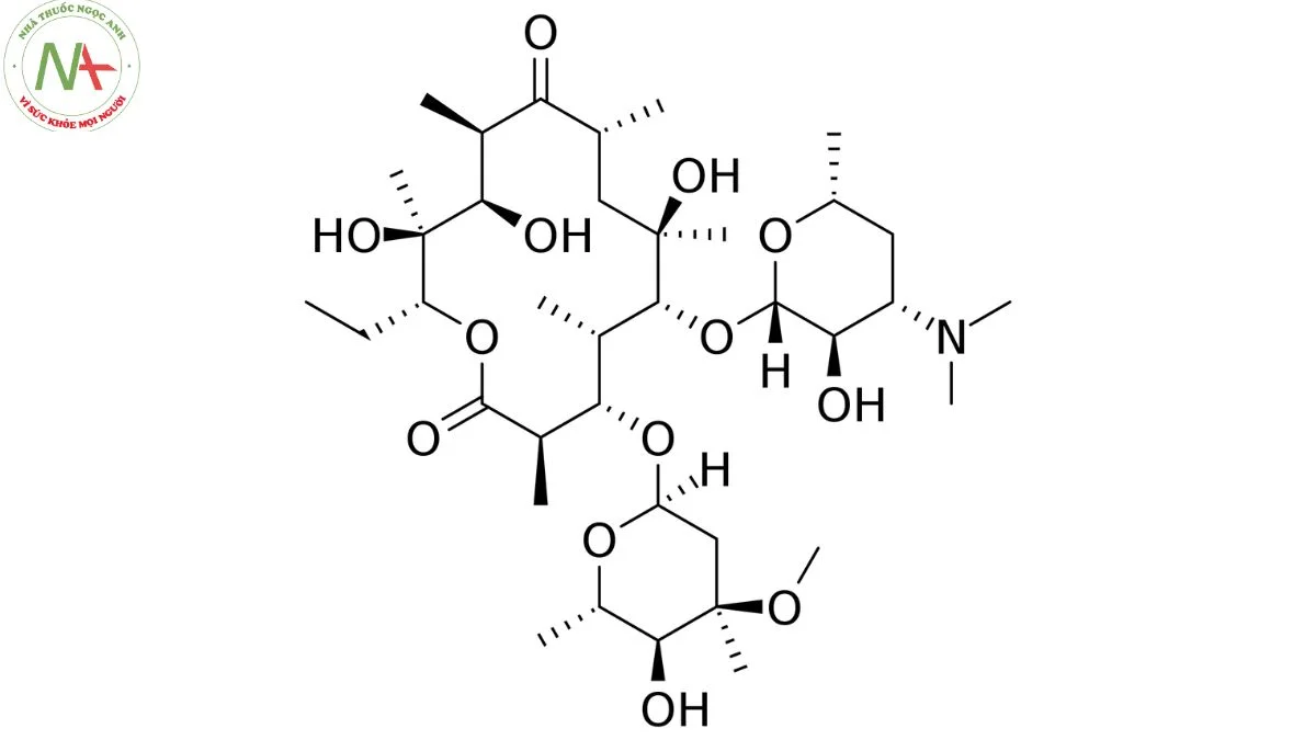 Cấu trúc phân tử Erythromycin 
