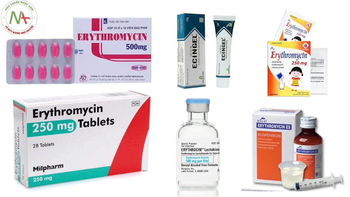 Dạng bào chế Erythromycin 