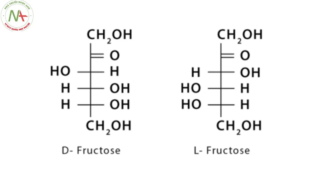 Cấu trúc phân tử Fructose 