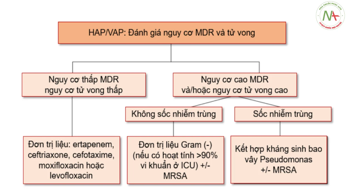 Hình 5.10. Lưu đồ điều trị kháng sinh kinh nghiệm cho HAP/VAP 