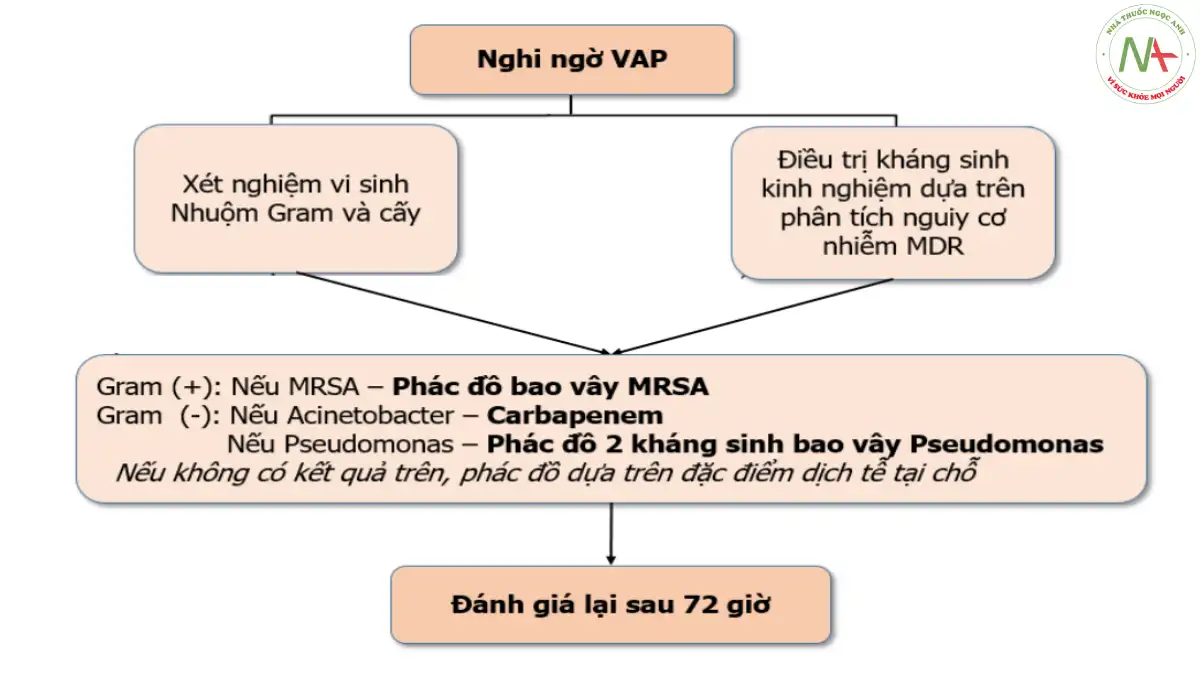Hình 5.4. Lưu đồ xử trí kháng sinh cho VAP