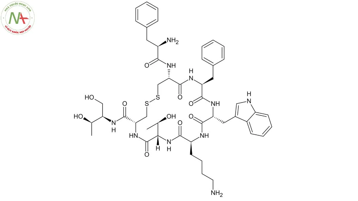 Cấu trúc phân tử Octreotide 
