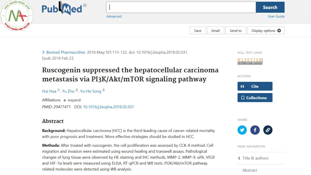 Ruscogenin suppressed the hepatocellular carcinoma metastasis via PI3K/Akt/mTOR signaling pathway