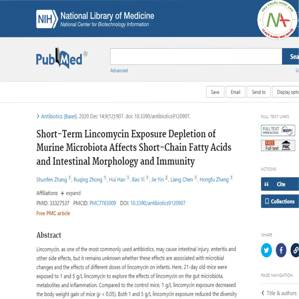 Short-Term Lincomycin Exposure Depletion of Murine Microbiota Affects Short-Chain Fatty Acids and Intestinal Morphology and Immunity