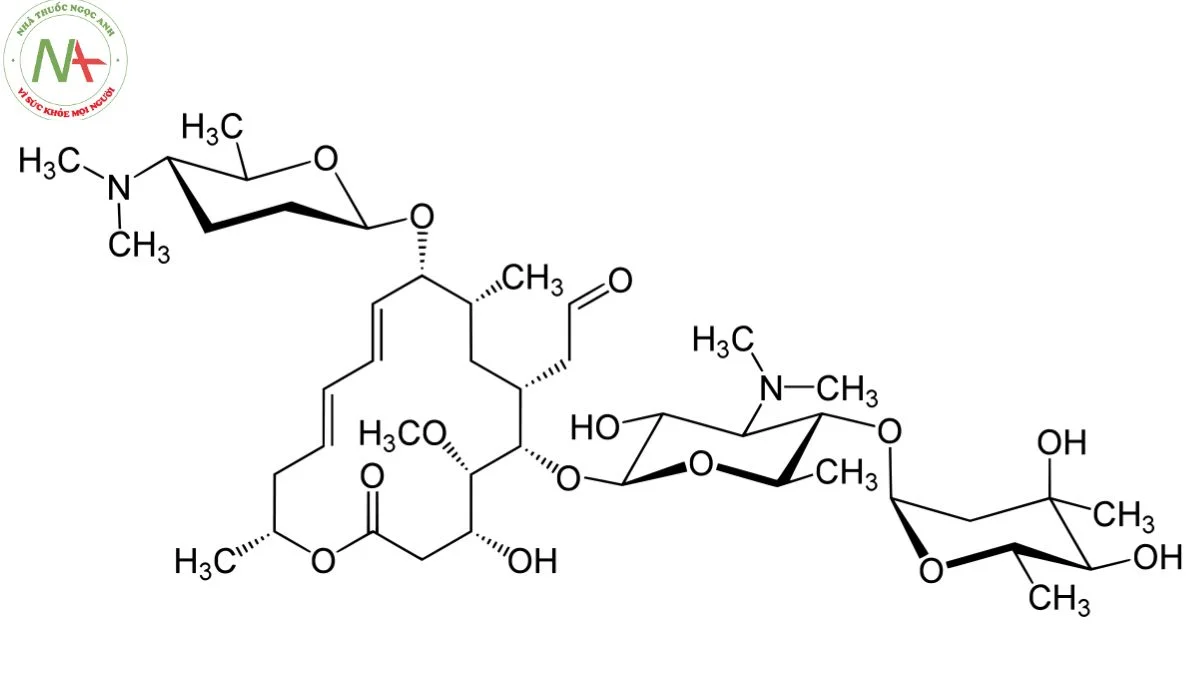Cấu trúc phân tử Spiramycin 