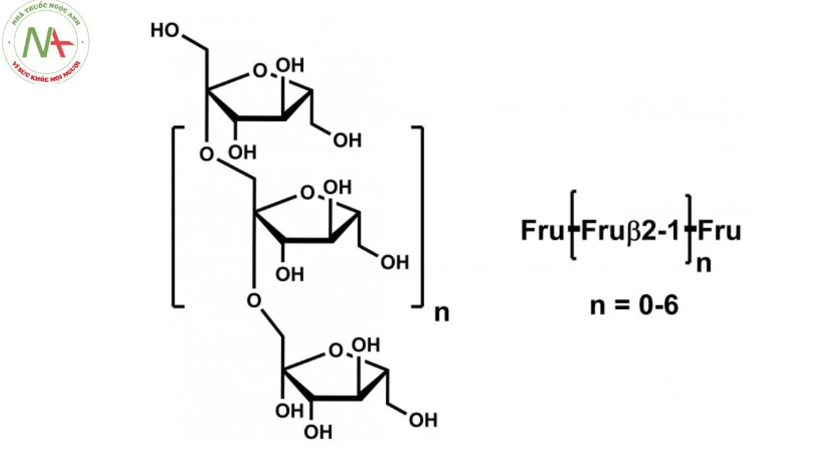 Cấu trúc phân tử fructo oligosaccharide