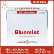 Hộp thuốc Bluemint 500mg