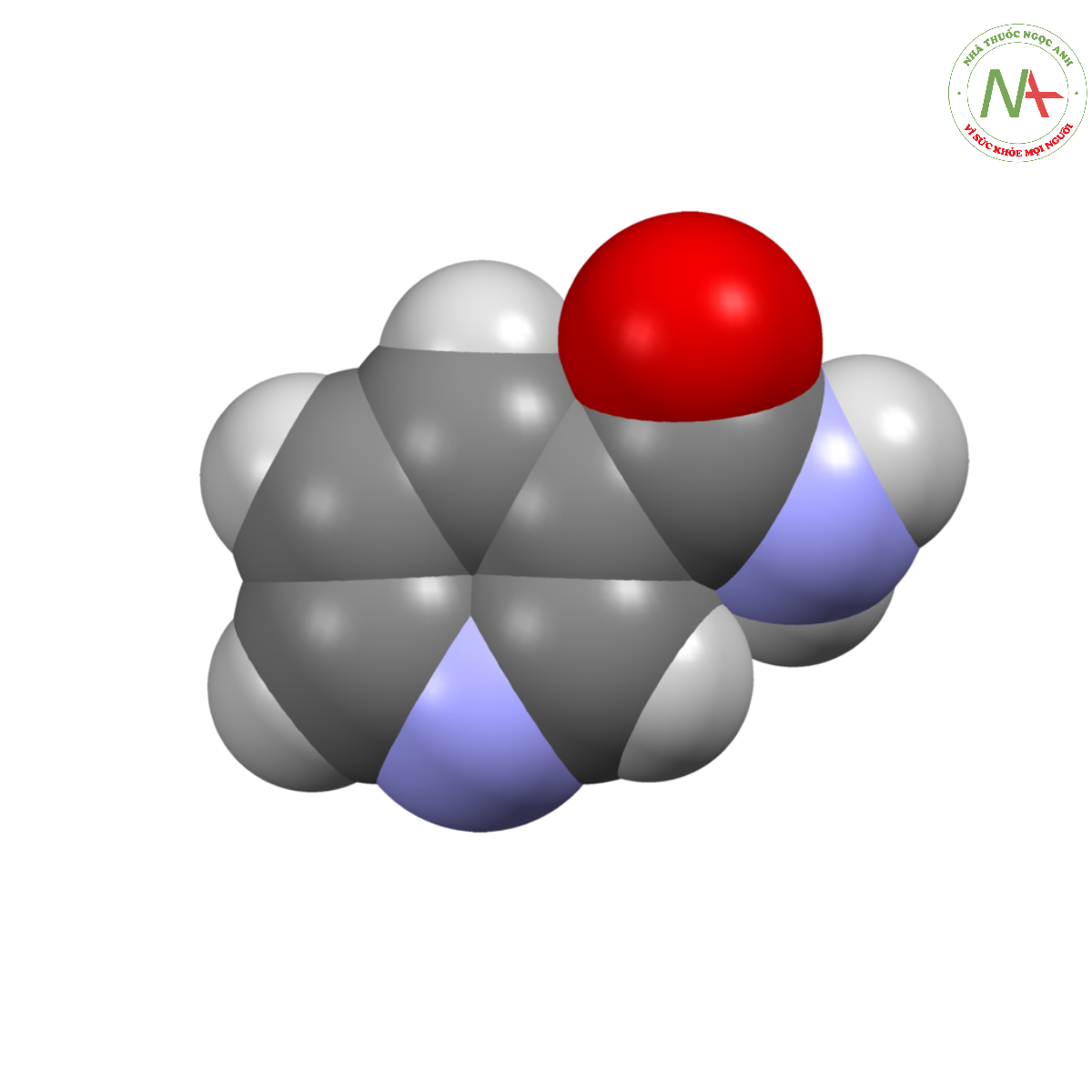 Mô hình 3D của Nicotinamide