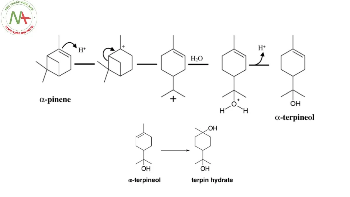 Phương pháp sản xuất Terpin Hydrat 