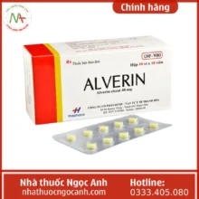 Thuốc Alverin 40mg Thephaco