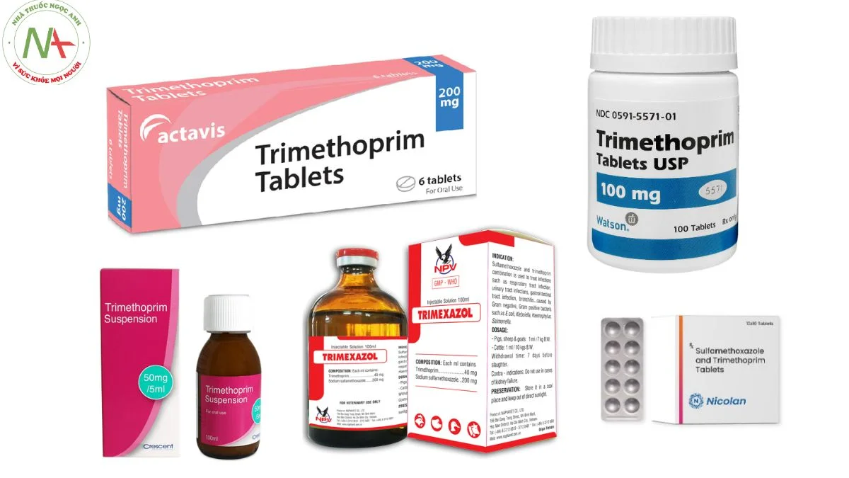 Dạng bào chế Trimethoprim 