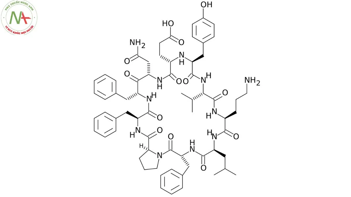 Cấu trúc phân tử Tyrothricin 