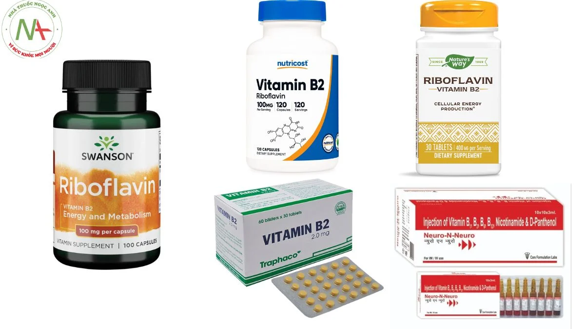 Dạng bào chế Vitamin B2 (Riboflavin) 