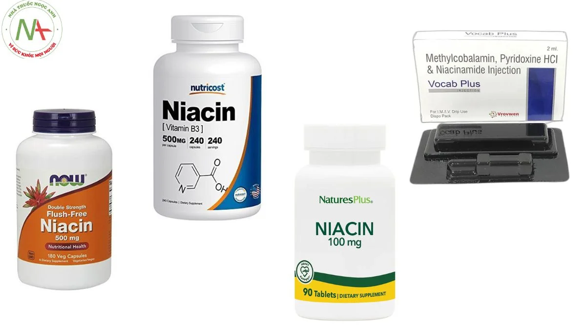 Dạng bào chế Vitamin B3 (Niacin) 