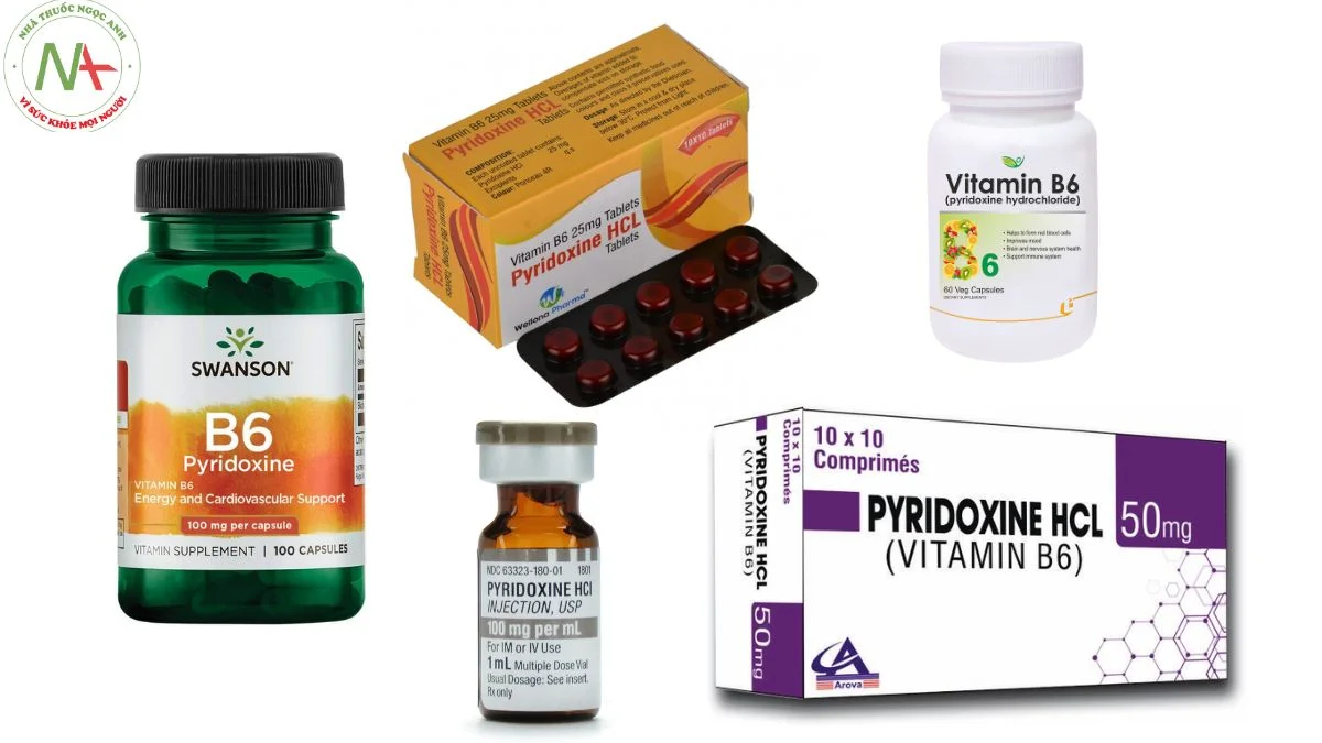 Dạng bào chế Vitamin B6 (Pyridoxine) 