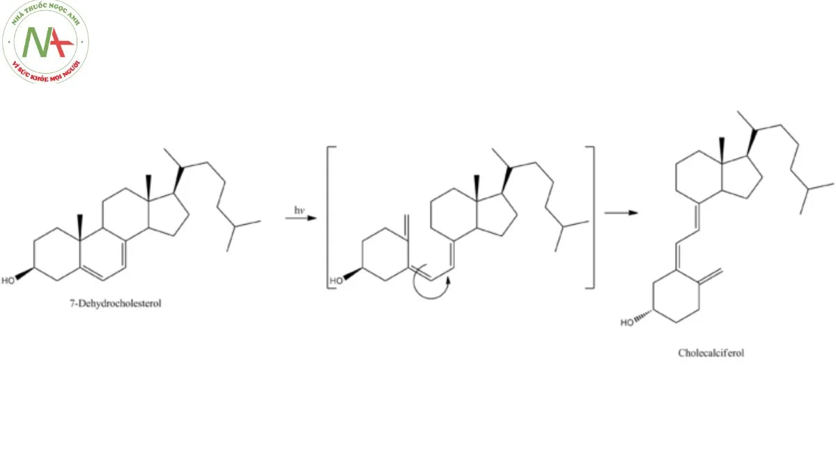 Phương pháp sản xuất Vitamin D3 (Cholecalciferol) 