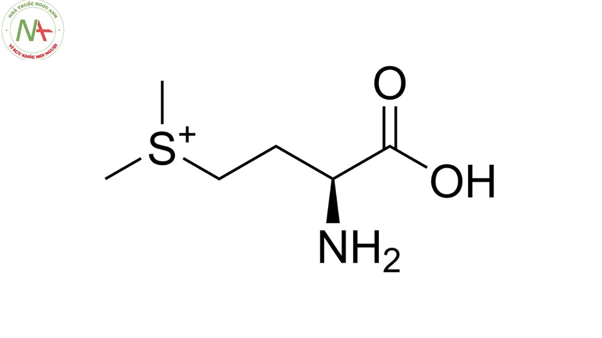 Cấu trúc phân tử Vitamin U (Methylmethionine) 