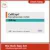 CellCept 250 mg