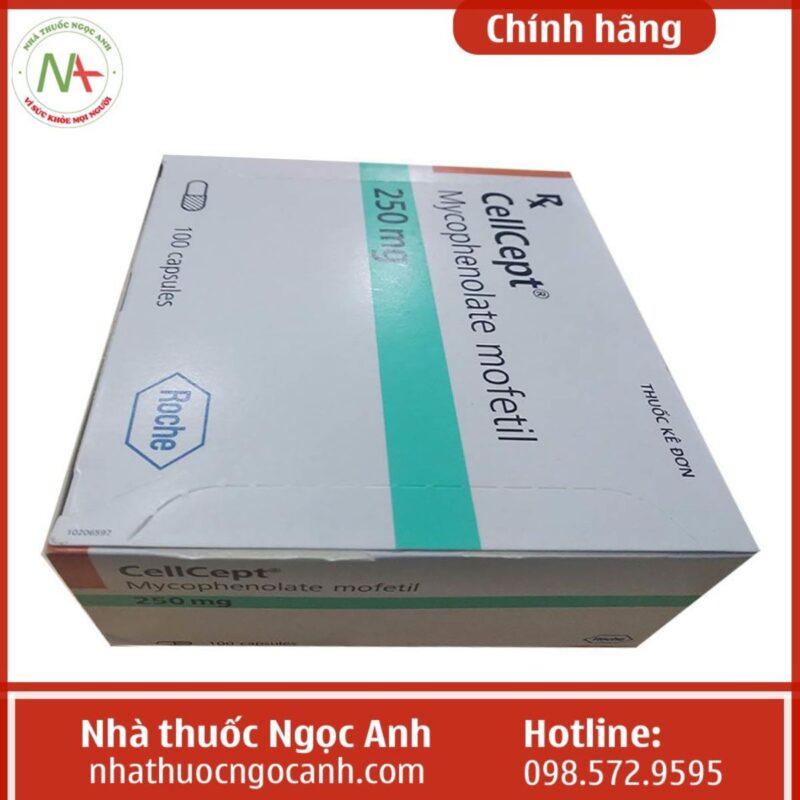 Thuốc CellCept 250 mg có tác dụng gì, giá bao nhiêu, mua ở đâu