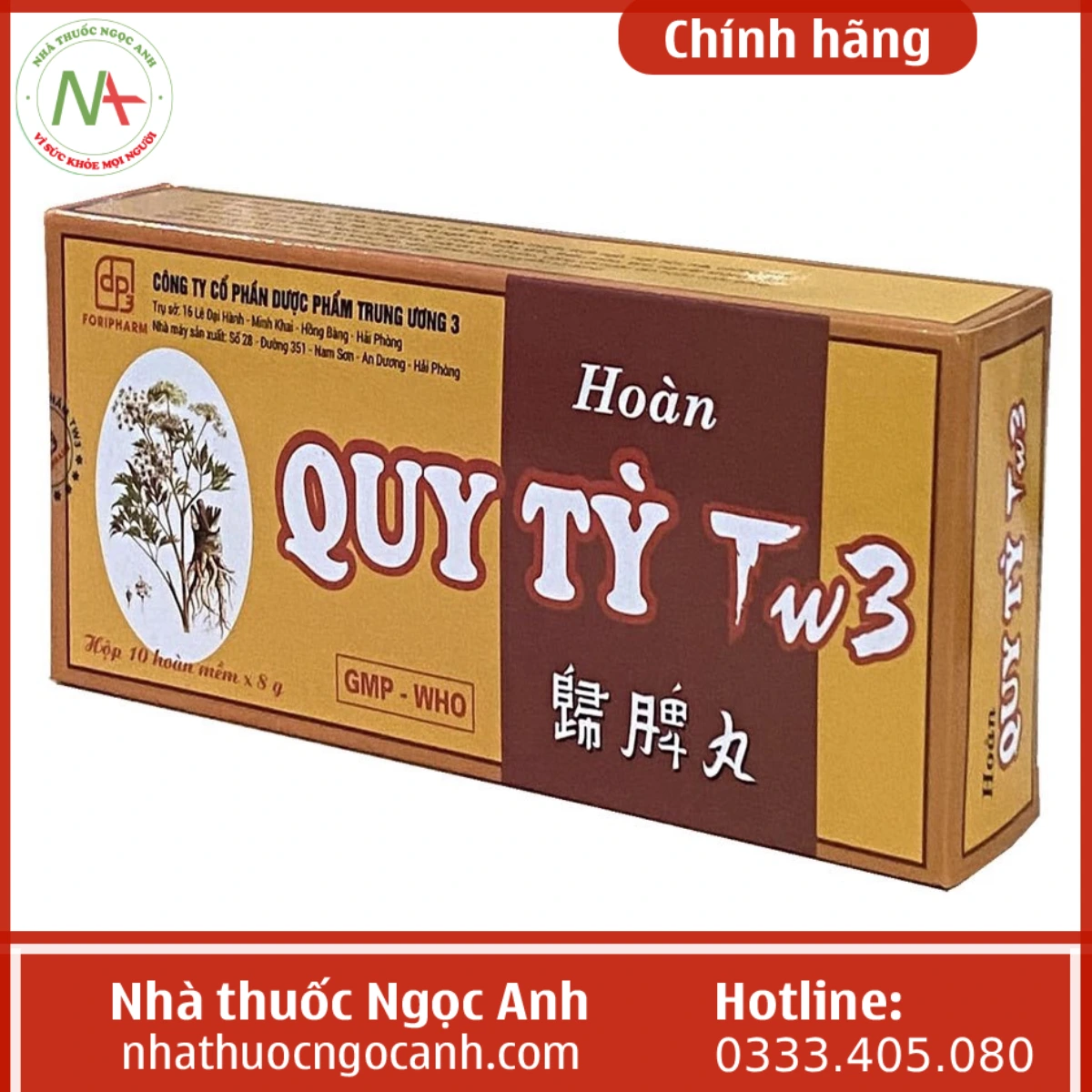 Hoàn Quy Tỳ TW3