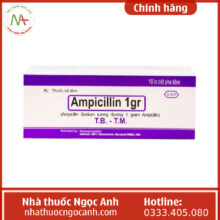 Ampicillin 1gr Reyoung Pharma