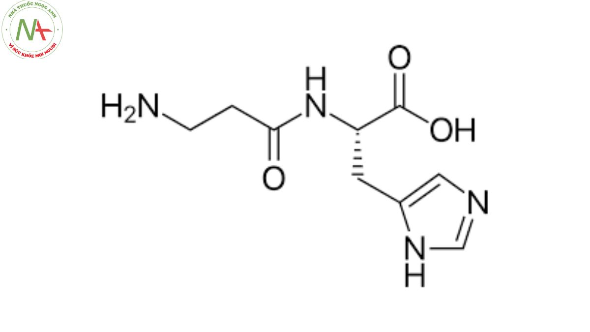 Cấu trúc phân tử Carnosine 