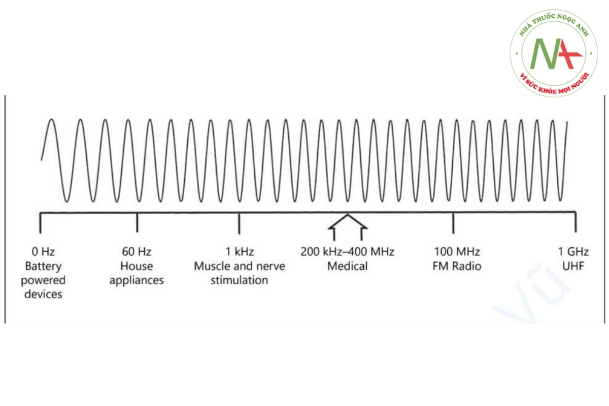 Hình 1. Phổ tần số của dòng điện.