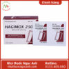 Hagimox 250 (dạng bột)
