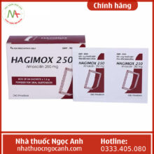 Hagimox 250mg (bột)