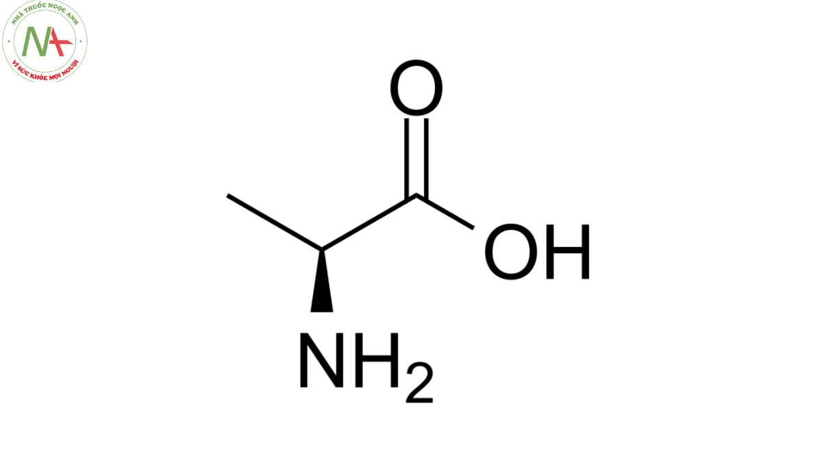 Cấu trúc phân tử L-Alanine 