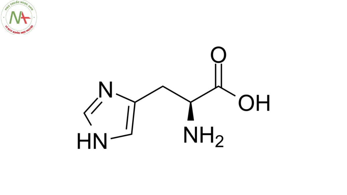 Cấu trúc phân tử L-Histidin