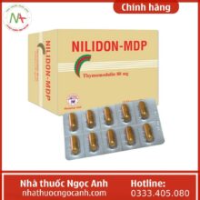 Hộp Nilidon-MDP