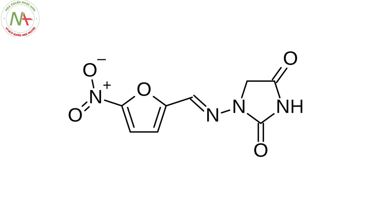 Cấu trúc phân tử Nitrofurantoin 