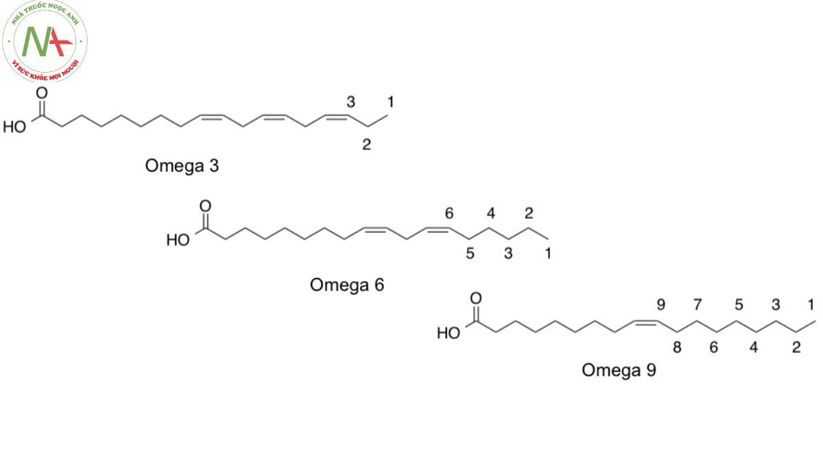 Cấu trúc phân tử Omega 9 