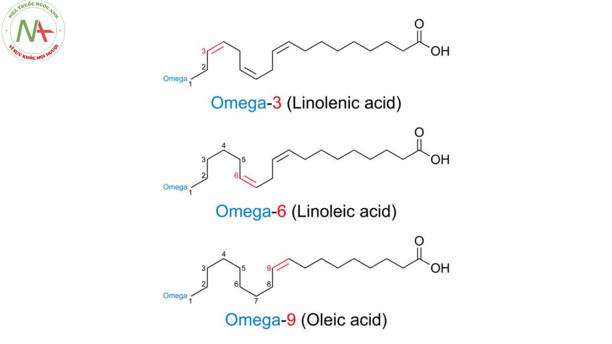Cấu trúc phân tử Omega Lipid Complex