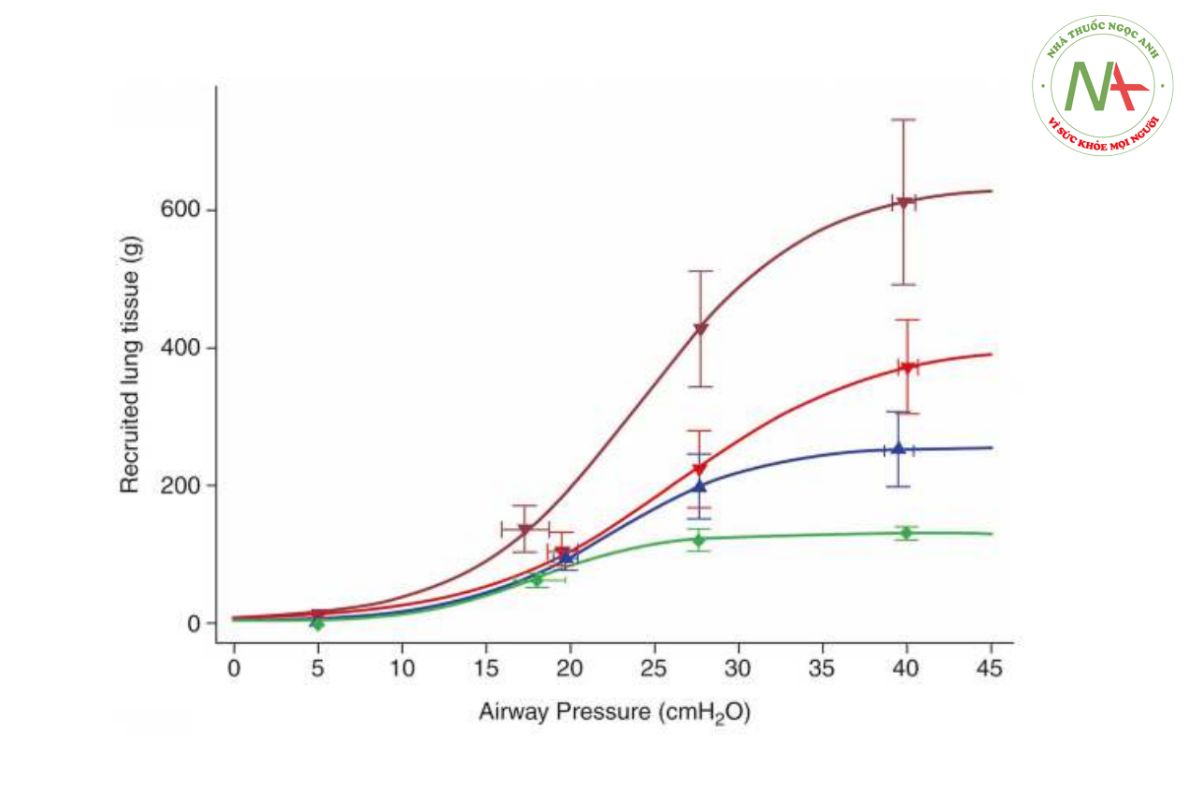 Hình 1 Huy động phổi như một hàm của áp lực đường thở. Con số này biểu thị lượng mô phổi (gram) được huy động như là một hàm của áp lực đường thở được áp dụng. Các ước tính được dựa trên hình ảnh chụp cắt lớp vi tính (CT) của bệnh nhân mắc Hội chứng nguy kịch hô hấp cấp tính (ARDS). Màu xanh lá cây: ARDS nhẹ, màu xanh lam: ARDS trung bình, màu đỏ: ARDS nặng, màu đỏ sẫm: ARDS nặng với quá trình oxygen hóa màng ngoài cơ thể tĩnh mạch-tĩnh mạch (VV- ECMO). Từ [26] với sự cho phép