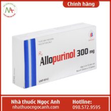 Ảnh của sản phẩm Allopurinol 300mg 7