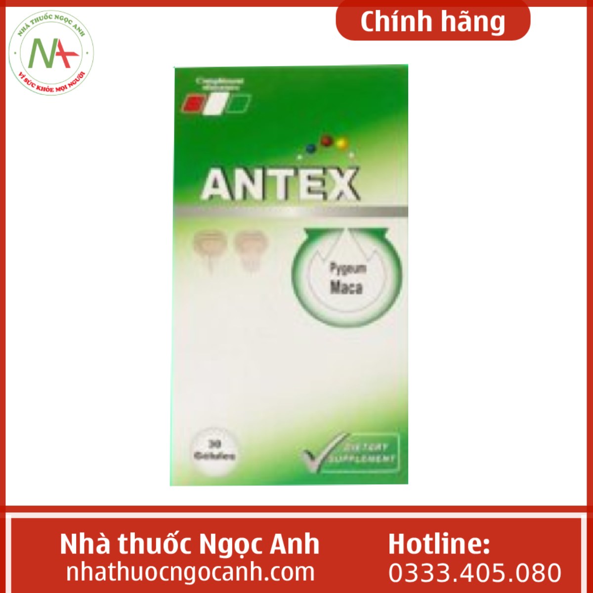 Antex