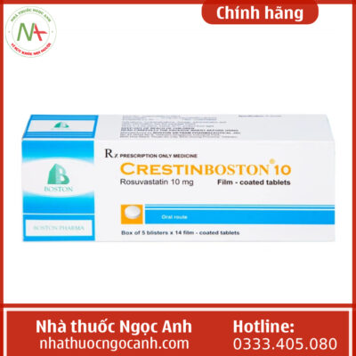 Crestinboston 10