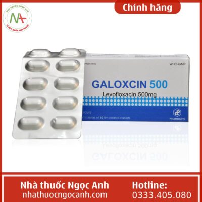 Galoxcin 500