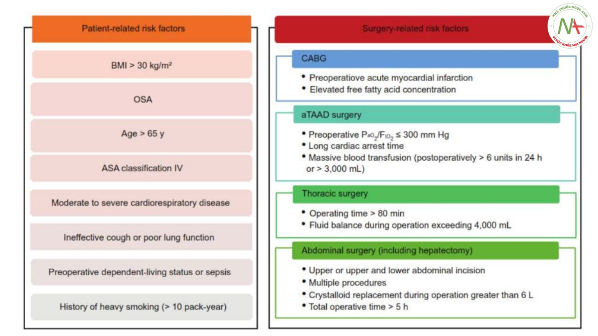 Hình 2. Các yếu tố nguy cơ giảm oxy máu sau phẫu thuật.